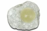 Botryoidal Yellow Fluorite on Quartz - India #342391-1